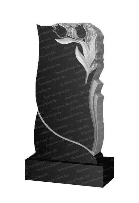 Памятник Докшицы фото