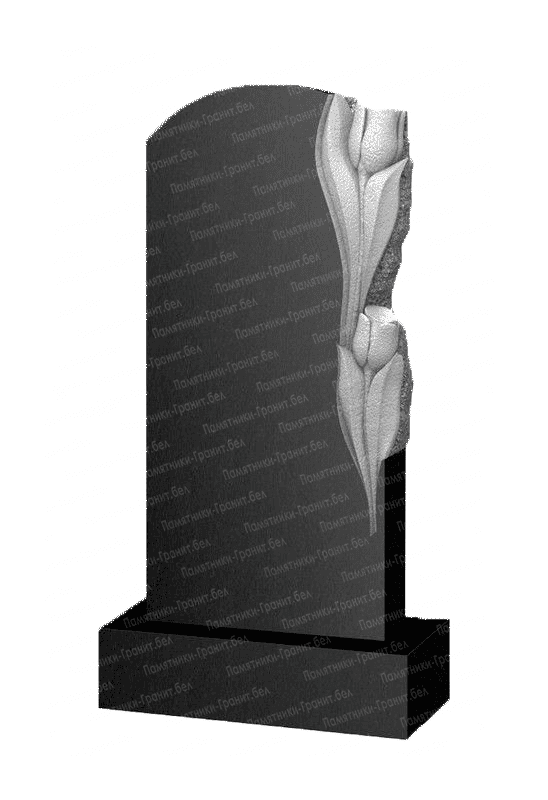 Установкая памятников Докшицы